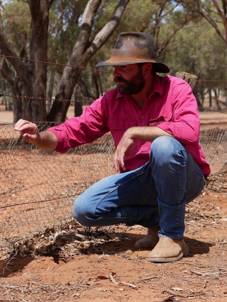 ‘Crisis’ on the land as tens of thousands of rabbits are culled
