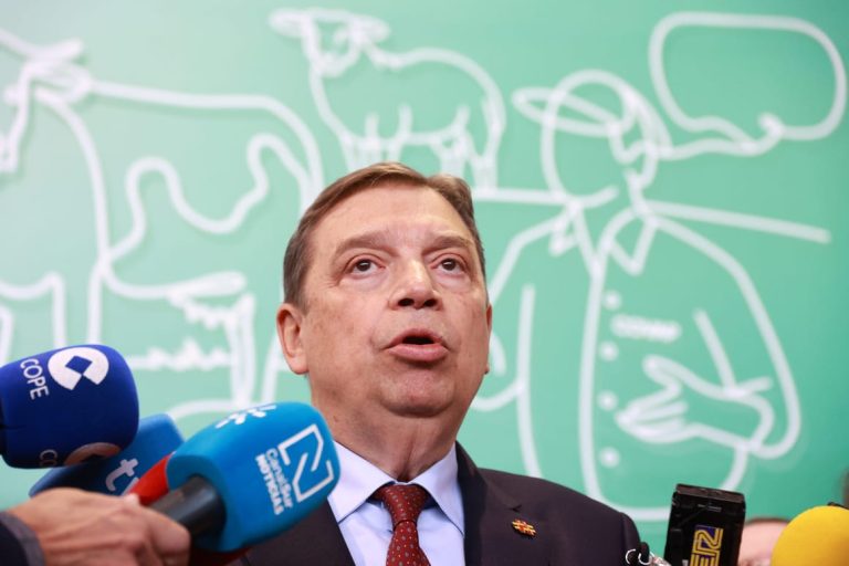 Spanish agriculture minister enters race to lead UN food agency