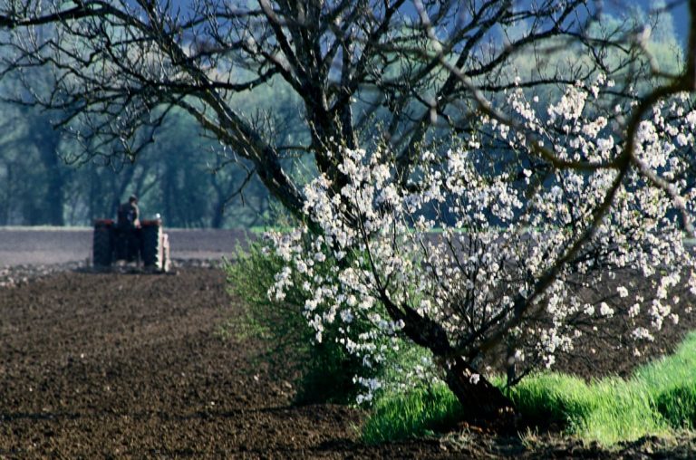 Hungary presses EU to scrap tariffs on Russian and Belarusian fertilizers