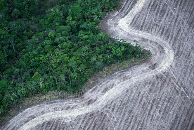 Brazil’s new climate plan prioritizes stopping all deforestation