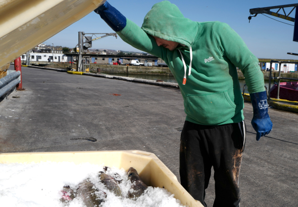 The Minneapolis “Dirtbag Lawyer” Challenging ICE Detentions—and Winning