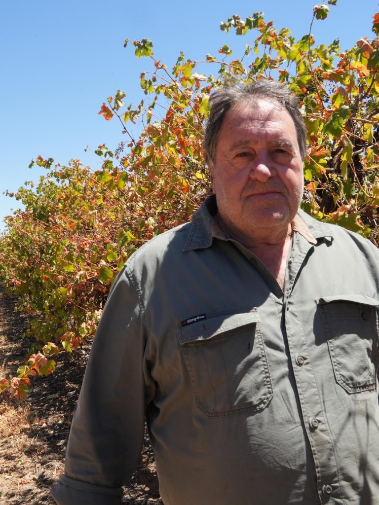 Grape growers want to rezone land for housing to exit industry in crisis
