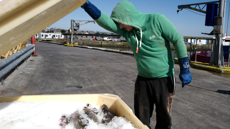 Workers in Colorado Have Shut Down One of the Nation’s Biggest Meatpacking Plants