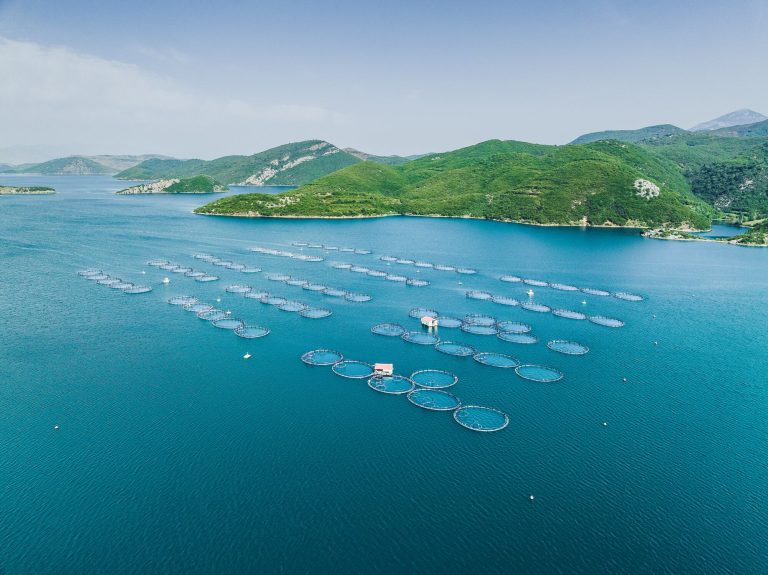 Is aquaculture sustainable? It depends on the system around it