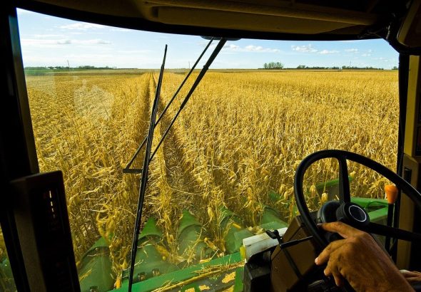 Address Affordability, Give Farmers a Chance