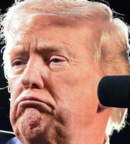 Trump Temper Tantrum Makes Airport Chaos Worse After Election Rigging Demands Rejected