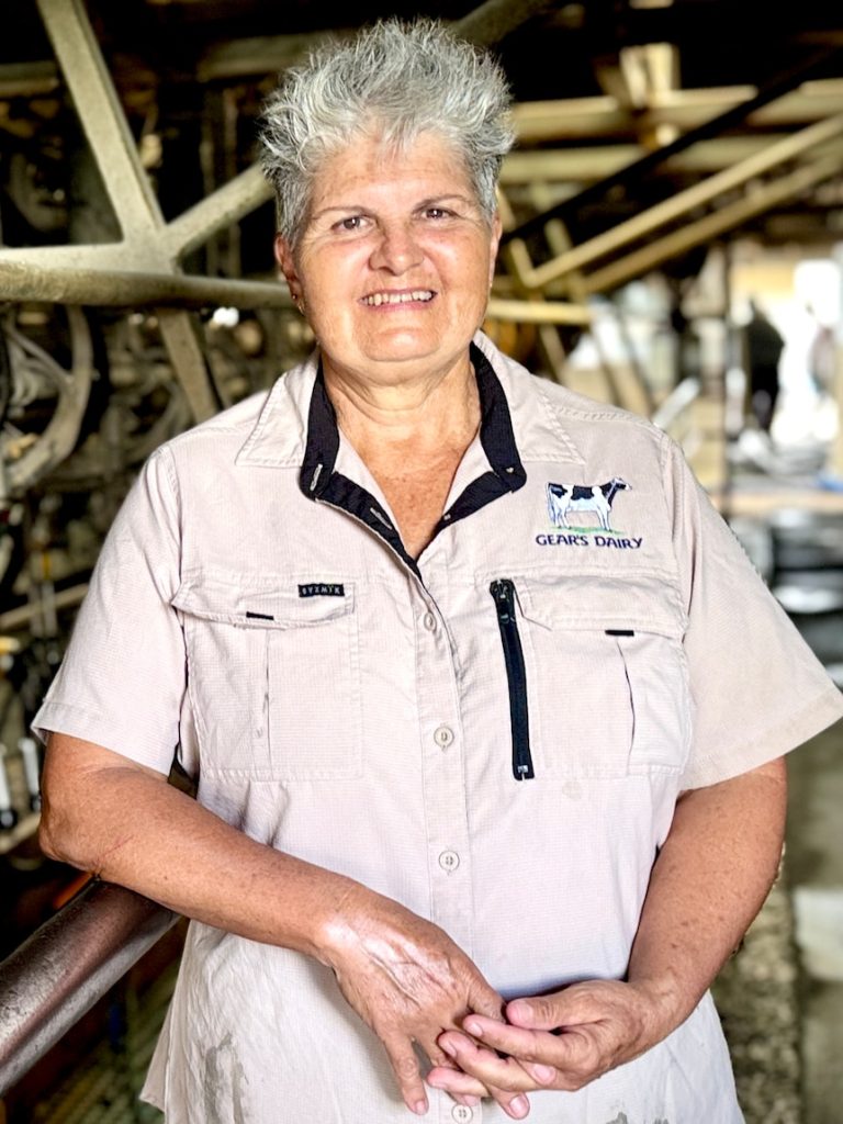 Farmers return to Qld dairy industry after decades of dramatic decline