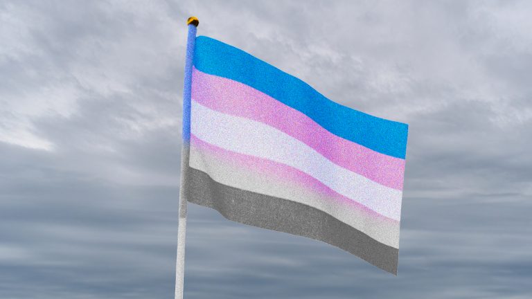 Trump’s Minions Have Quietly Disappeared Most Federal Data on Gender Identity