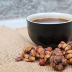 The Chemistry Behind Civet Coffee’s Distinctive Flavour