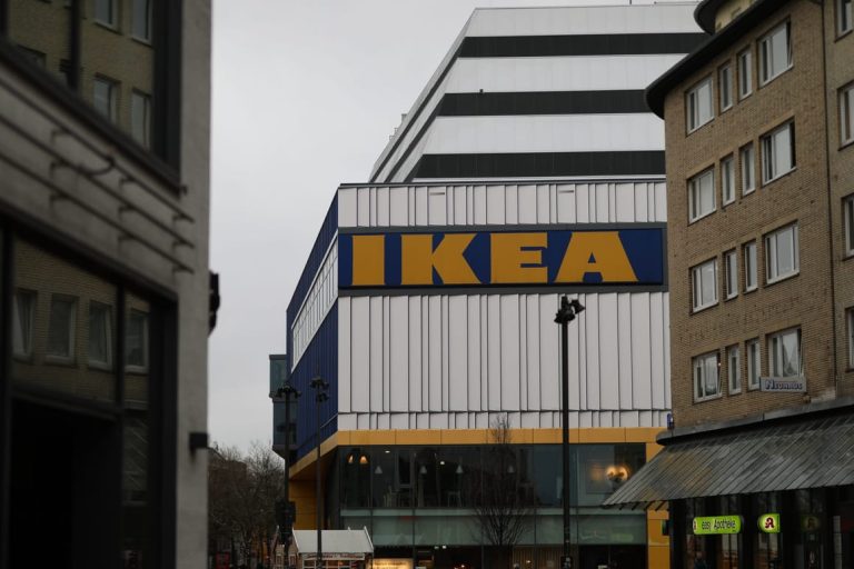 Wolf bites woman in face near Hamburg IKEA during first attack in decades