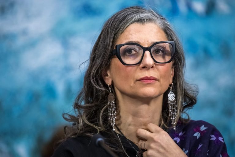 Irish lawmaker urges Stripe to flout US sanctions on UN investigator Albanese