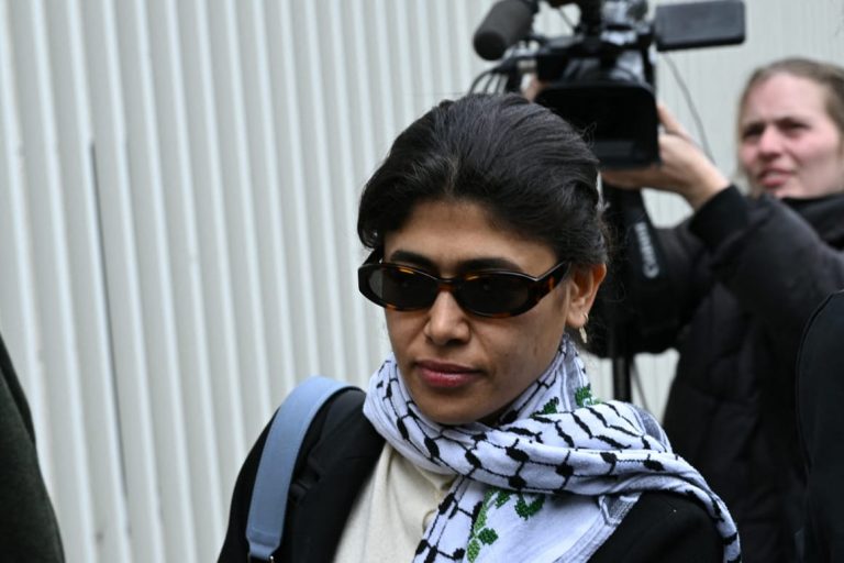 ‘The only goal is to harm me’: MEP Rima Hassan hits back after police detention