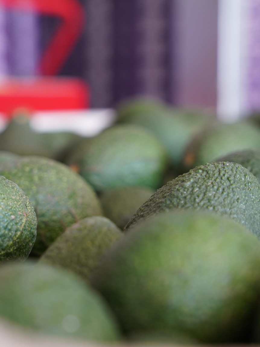 Sick of not knowing if your avocado is ripe or bruised? This scanner could change that