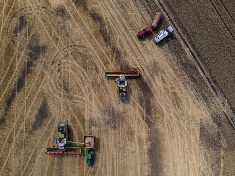 Egypt won’t accept Ukrainian wheat exported by Russia, Zelenskyy says