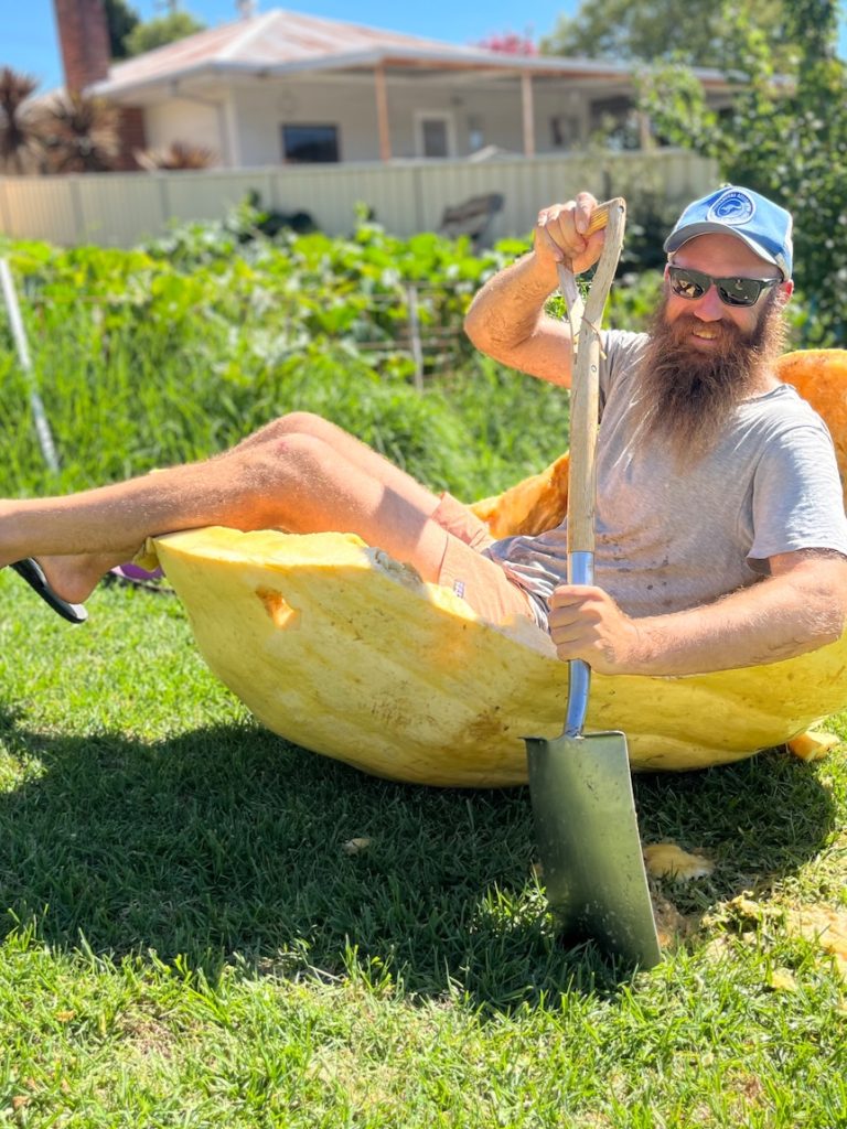 Tumut’s dream to grow nation’s biggest pumpkins can’t be squashed