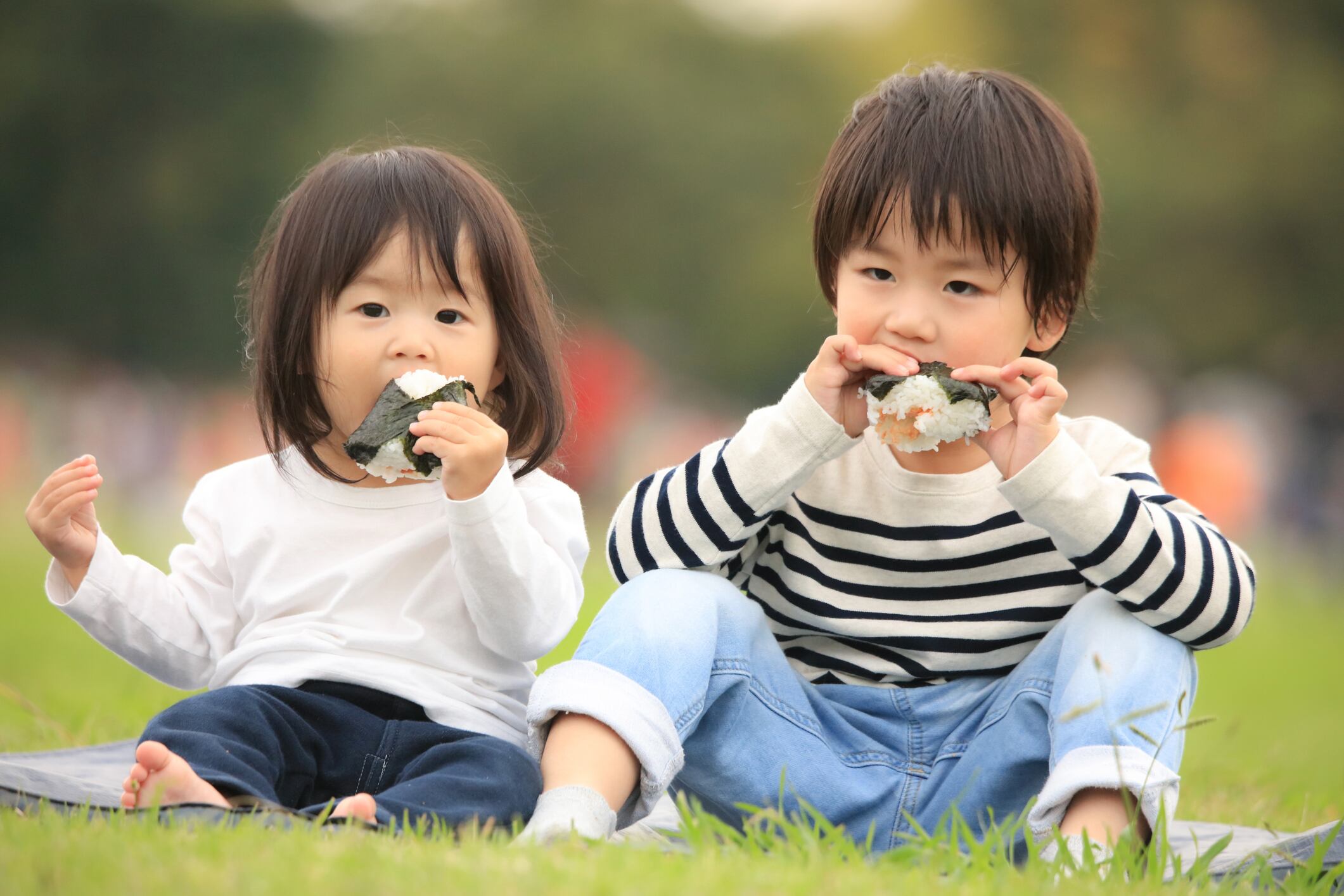 Balanced meals may matter more than protein alone: Japan study