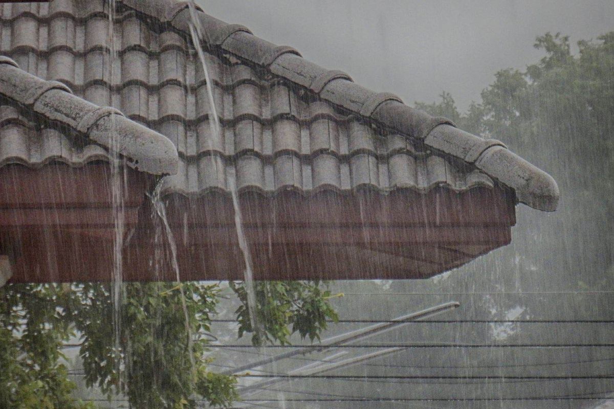WEATHER: Disruptive RAIN expected to batter TWO provinces TODAY