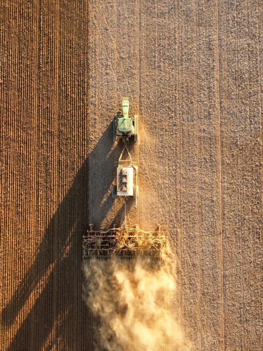 Amid ‘unprecedented’ times, farmers take ‘risky’ gamble on early winter crops