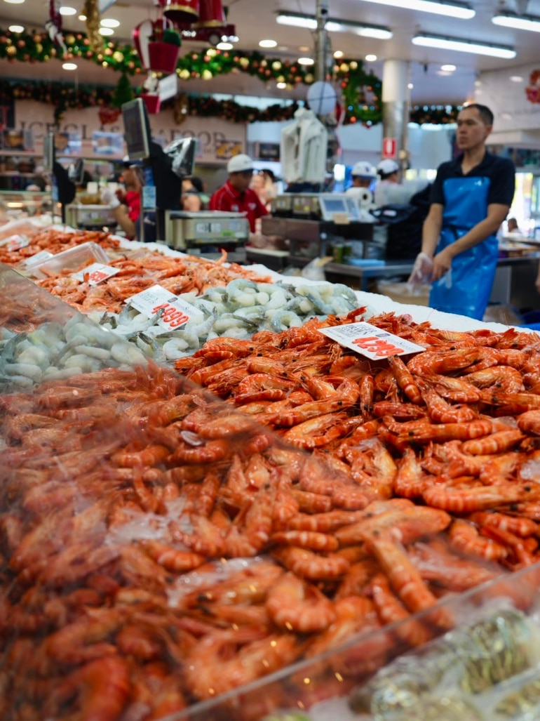 Claims wild-caught Australian seafood will soon ‘only be afforded by the rich’
