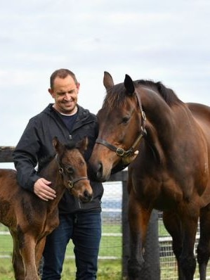 $10m horse will never race, but owner insists she is worth every cent