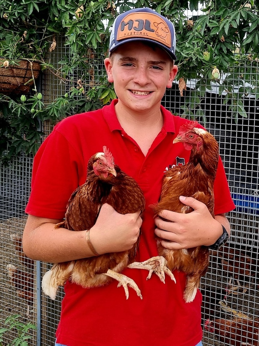 Teen shuns screens to turn love of chickens into growing egg business