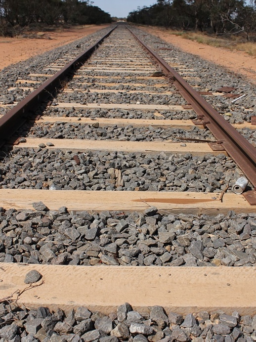Fresh push for Murray Basin freight rail to get more produce off trucks