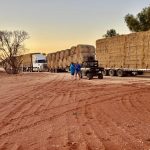 Drought-hit pastoralists plead for funds to move hay stockpiled 1,000km away