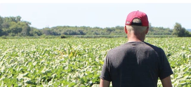 Farmers Voted For Trump And Now They Are Being Destroyed