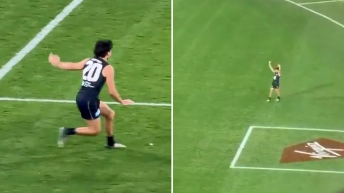 Fan-filmed footage sparks concern for welfare of Carlton midfielder Elijah Hollands