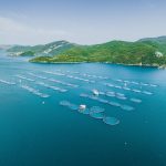 Is aquaculture sustainable? It depends on the system around it