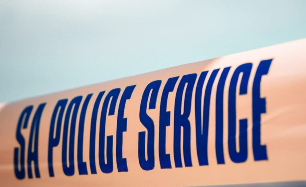 Zimbabwe: Zimbabweans Feared Dead After Bus Crash in South Africa