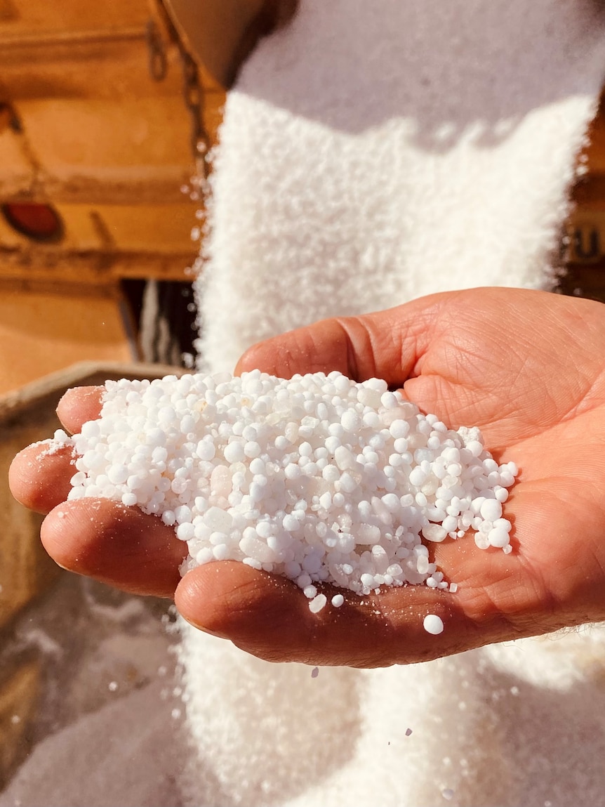 Charts explain why fertiliser prices aren’t coming down anytime soon