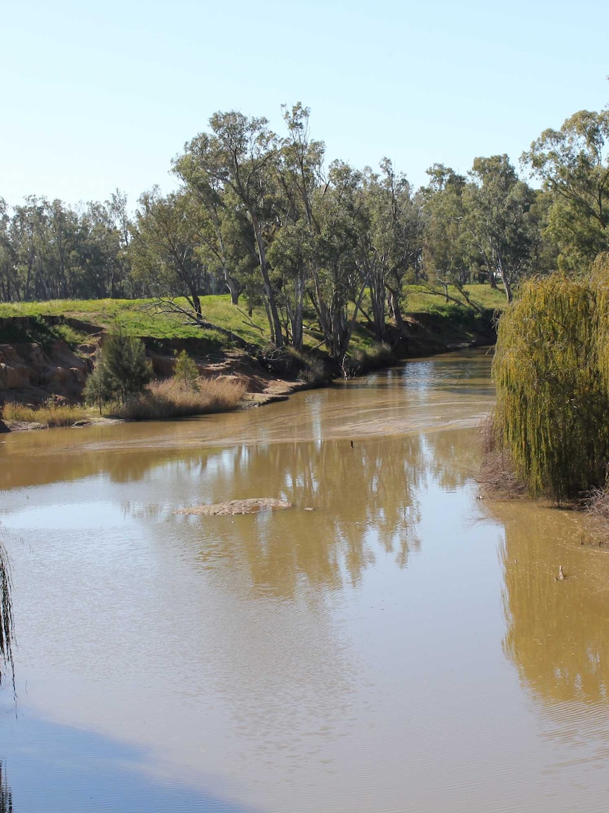 Cotton growers furious as dam expansion dumped over wetland fears