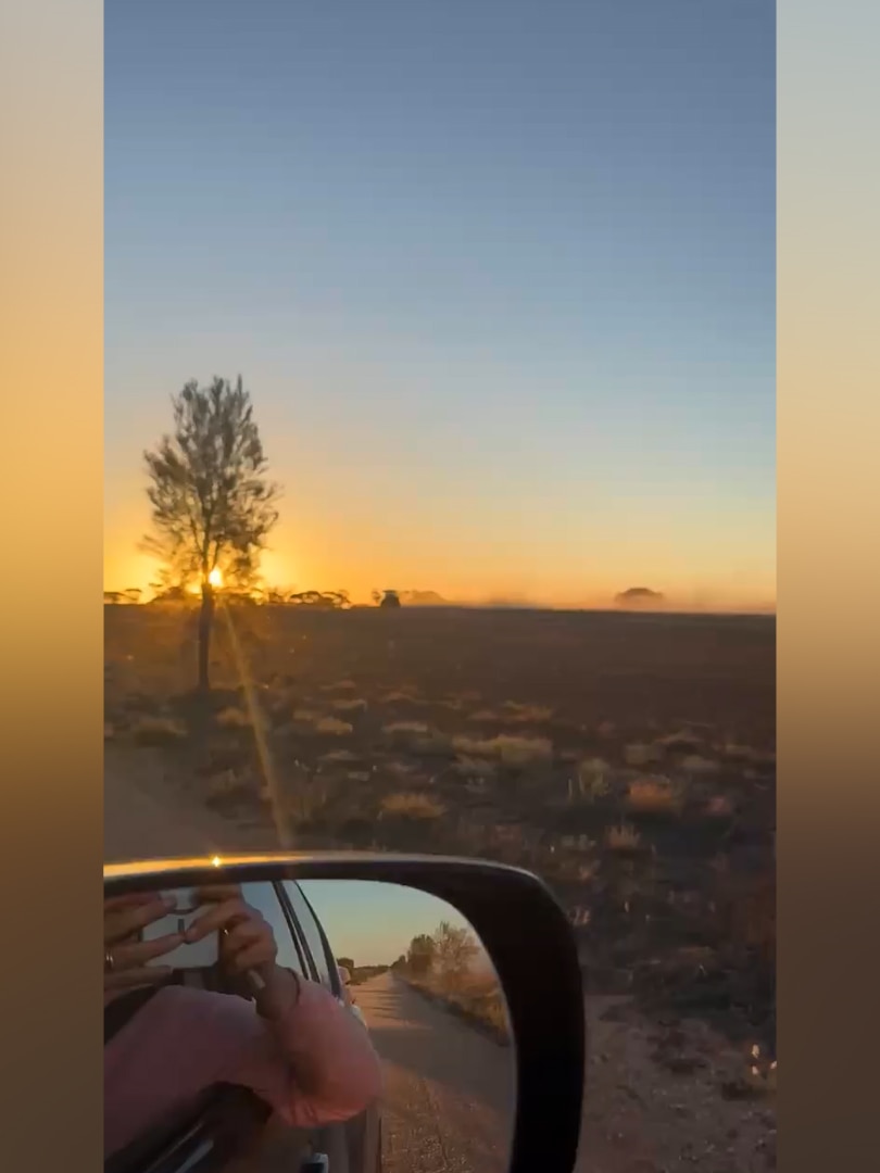 Farmers and authorities on alert as locusts migrate to South Australia