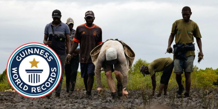 Guinness World Record Holder to Attempt 40,000 Tree Planting Record in Mombasa