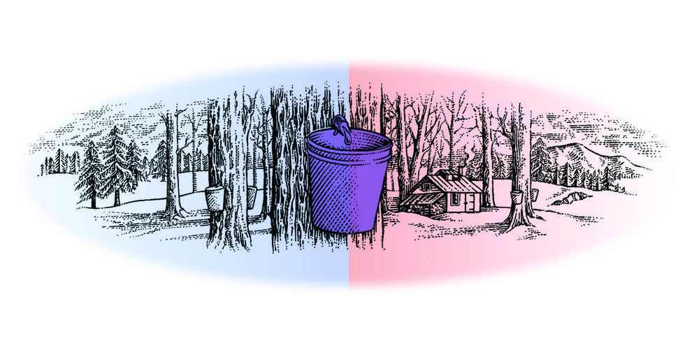 Healing Our Poisoned Body Politic