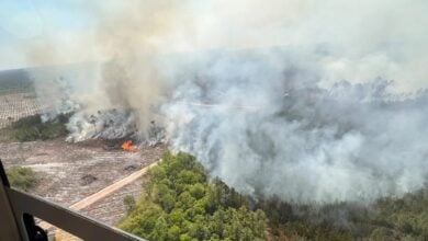 Purdue Pharma settlement is an insult to human life