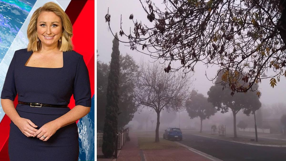 Foggy stretch in Melbourne leads to eerie mornings and mostly sunny days