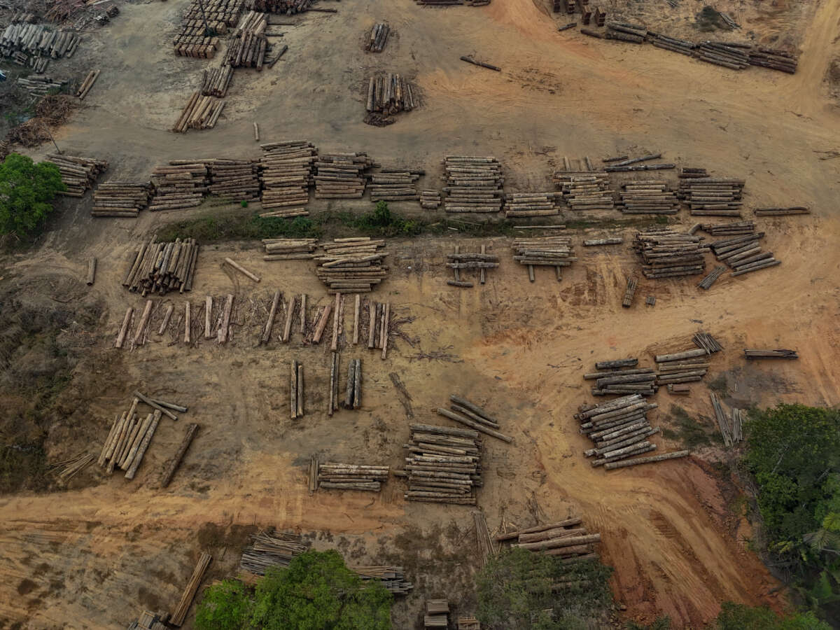 Amazon Deforestation Falls to Lowest Levels Since 2018