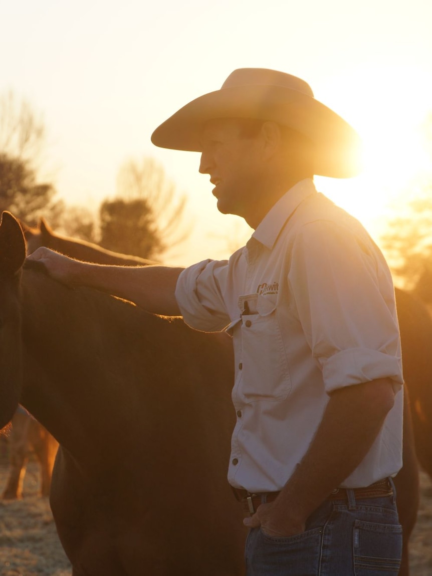 Organic meat giant Hewitt to buy Nolan Meats for undisclosed sum