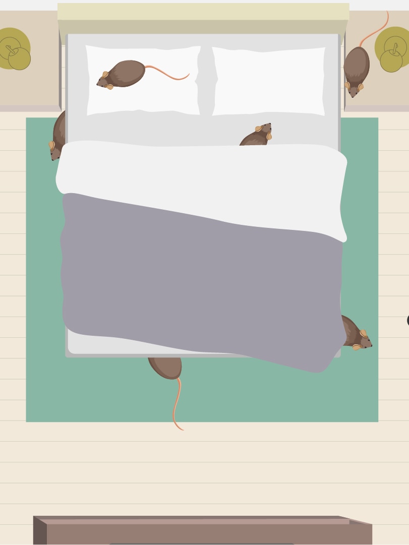 The scale of the mouse plague is hard to fathom. Here’s a visualisation