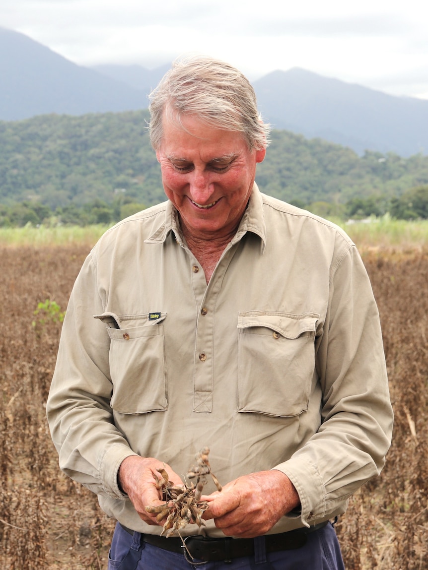 Grants allocated for soybean and rice trials in Mossman