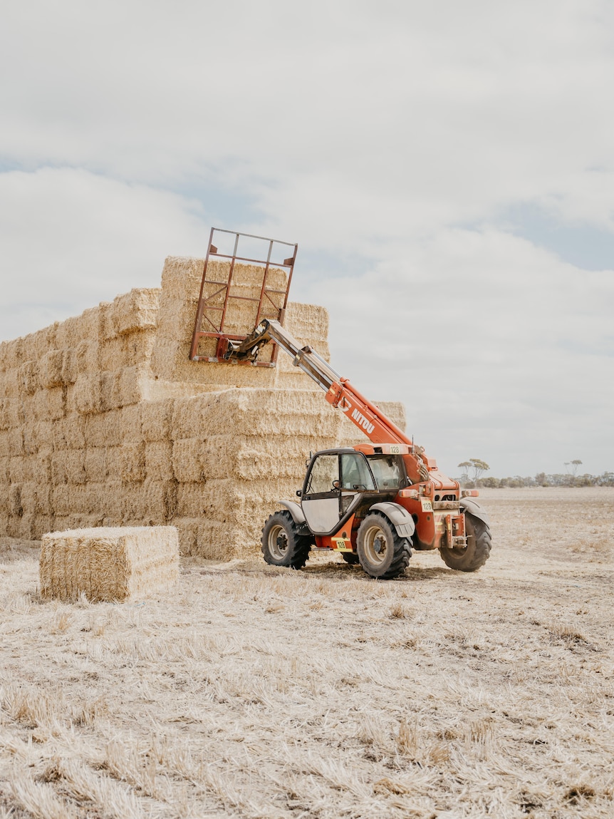Students help raise $100,000 for hay runs amid ‘heartbreaking’ drought