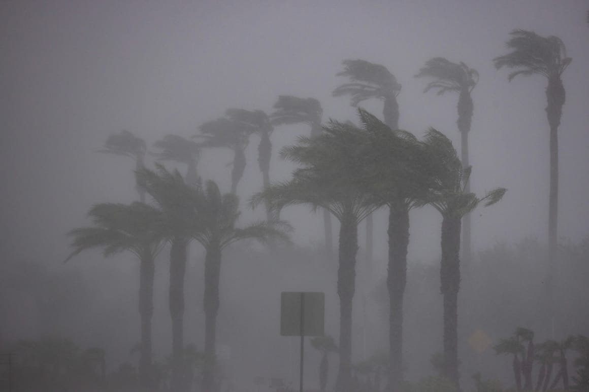 El Niño to bring more heat and disasters in coming months, UN warns