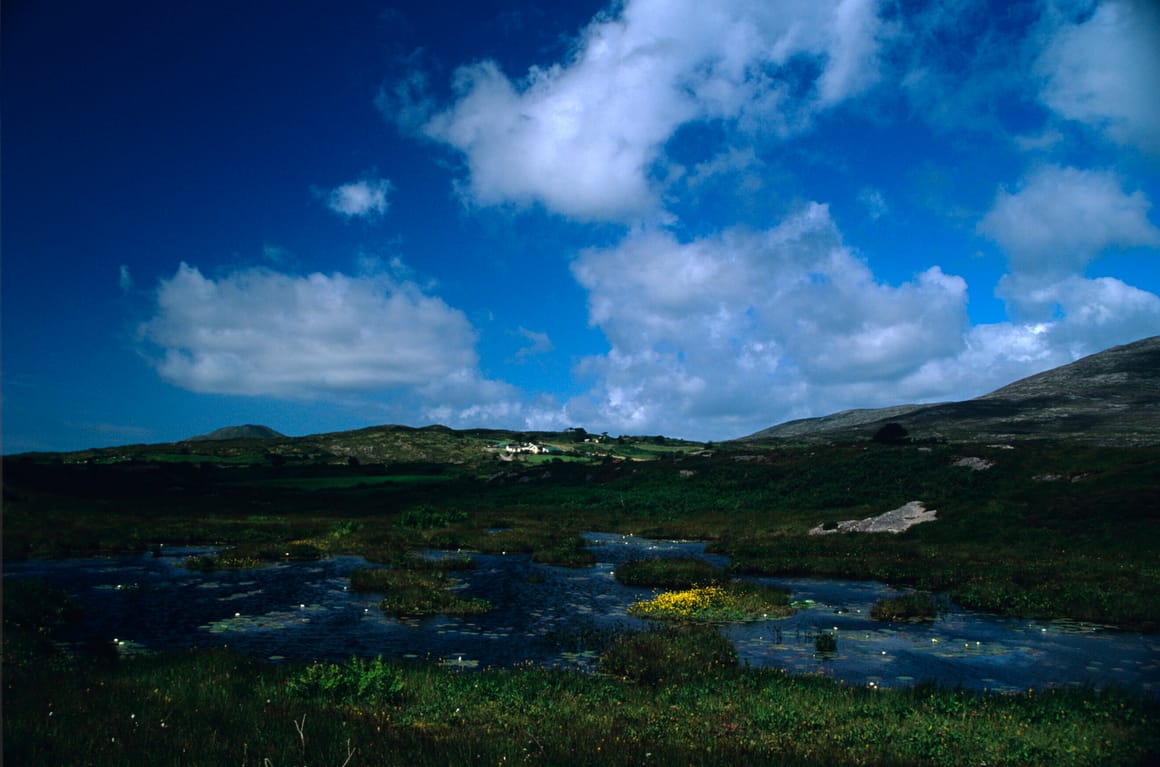 EU sues Ireland over failure to protect carbon-rich bogs