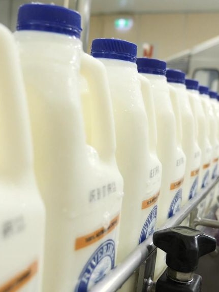 ‘Cybertongue’ could prevent 70 million tonnes of milk waste every year