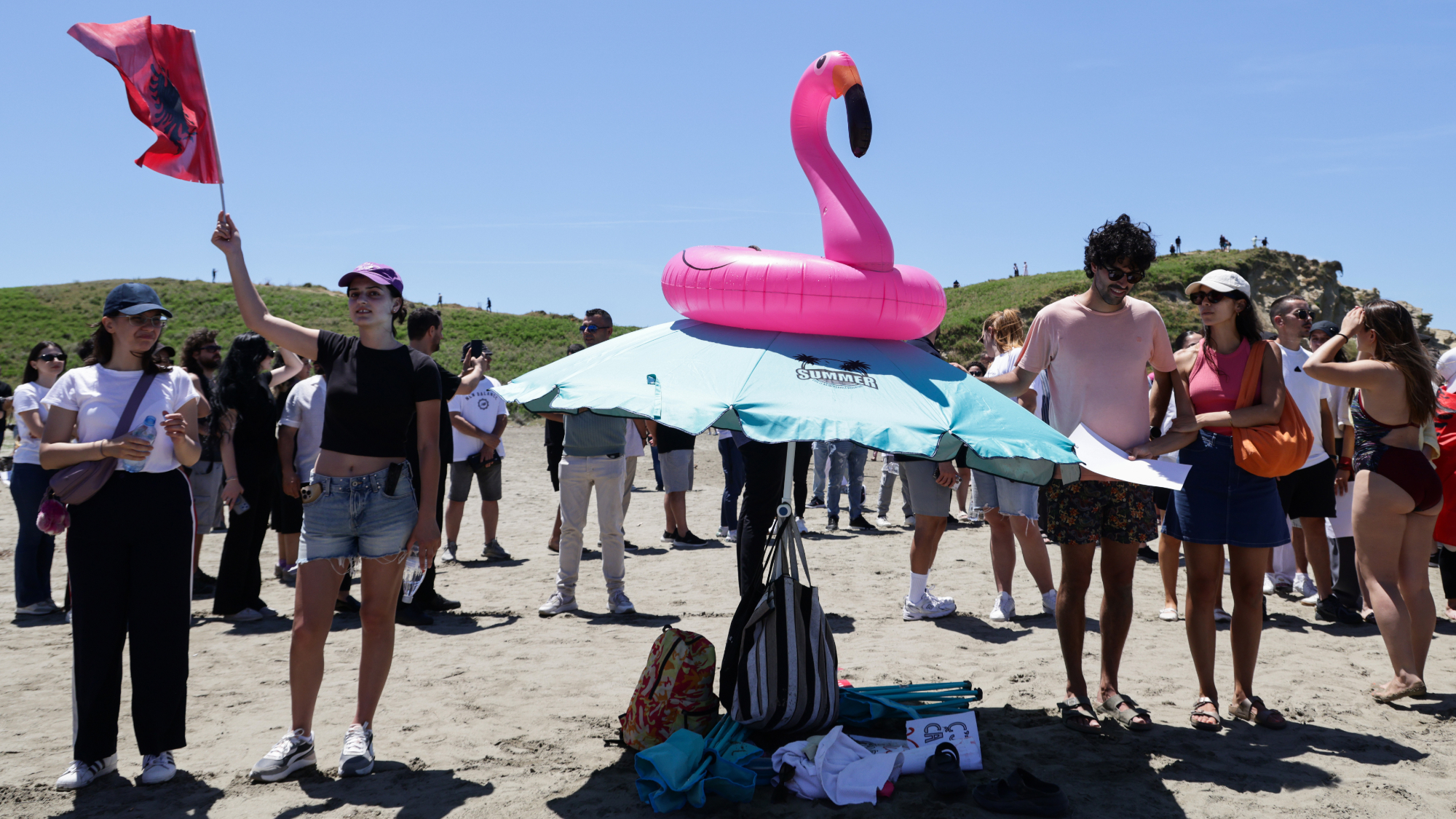 How the Flamingo Became a Potent Protest Symbol