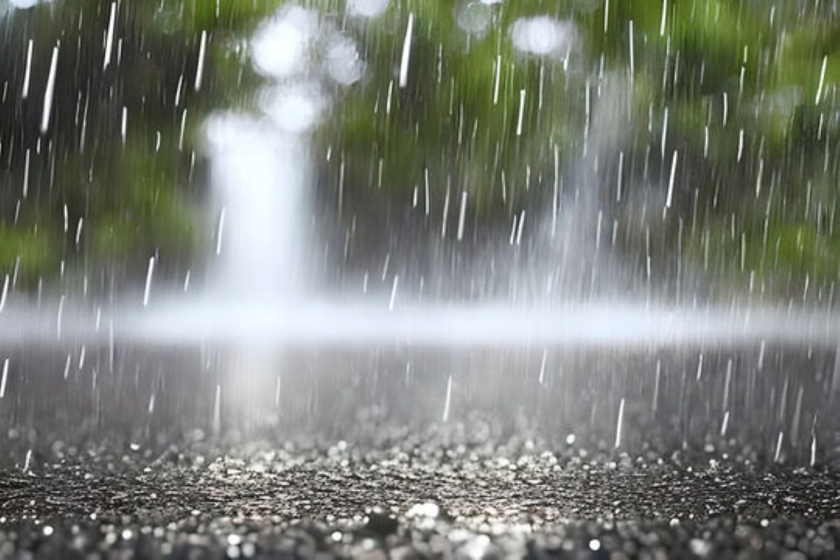 WEATHER: Rain and chilly temperatures to lash two provinces