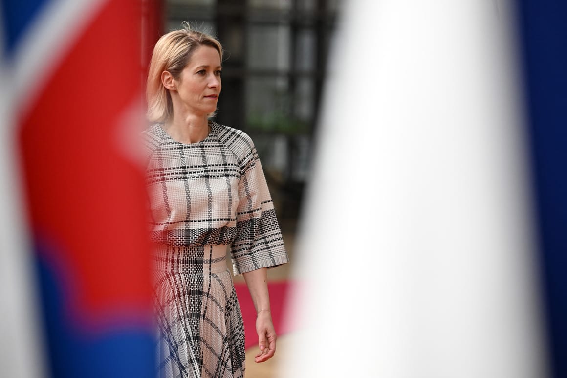 EU chief diplomat eyes sanctions on Russian metals, adding to pressure on Irish refinery