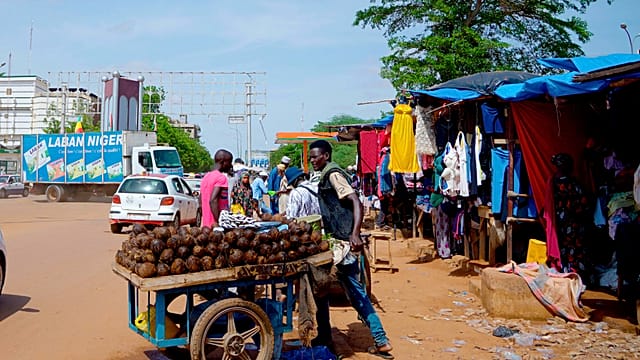 Niger inaugurates new power plant to ease electricity cuts
